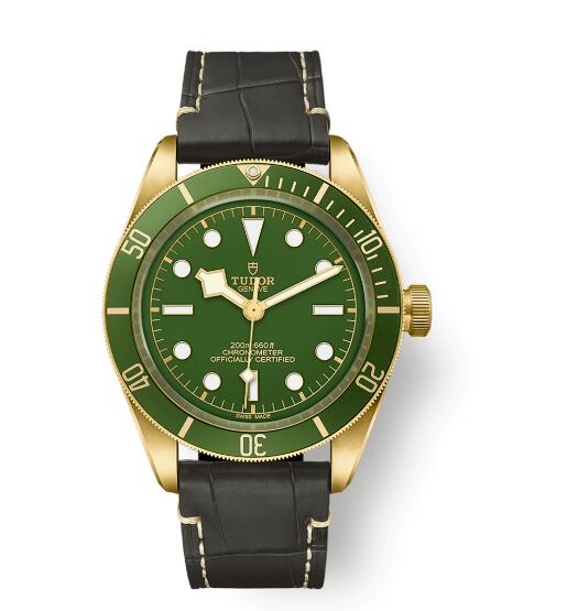 Tudor BLACK BAY FIFTY-EIGHT 18K M79018V-0001 Replica Watch